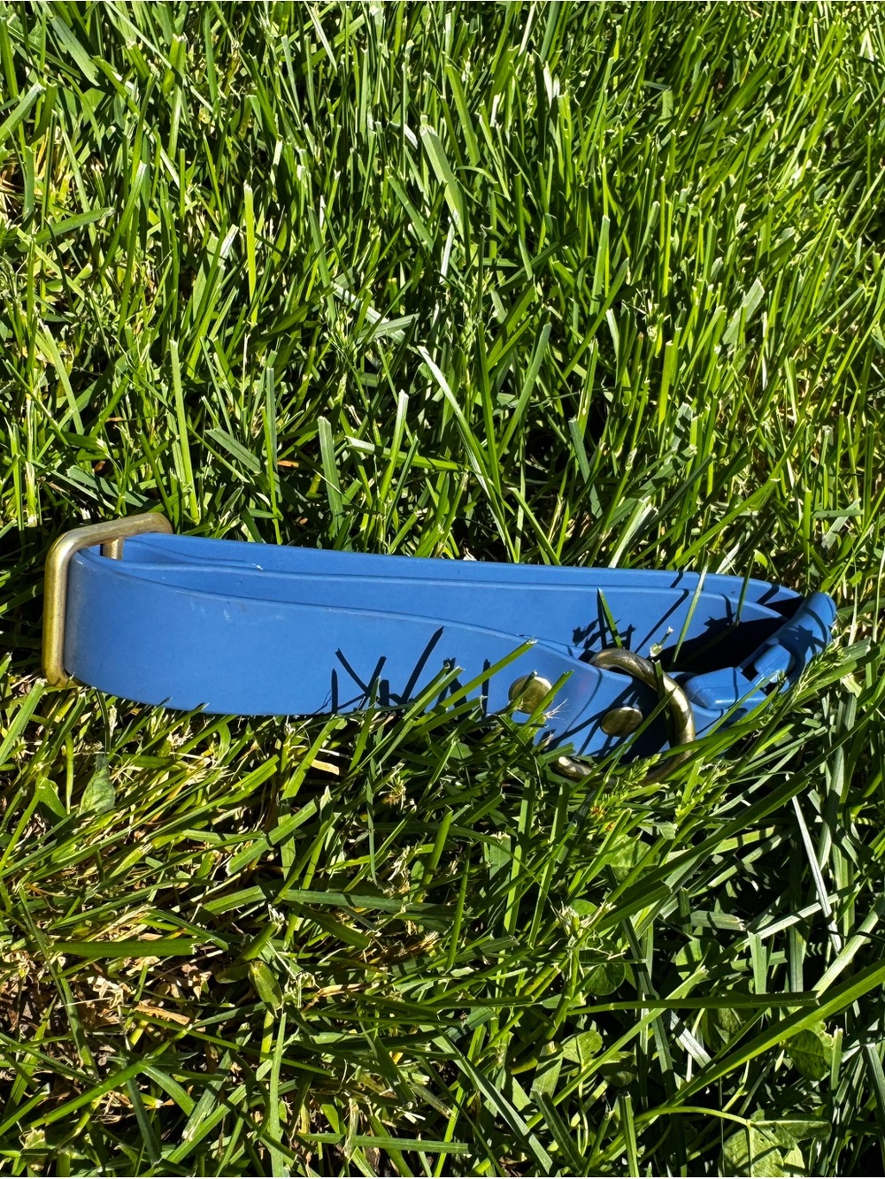 Blue Biothane dog collar M